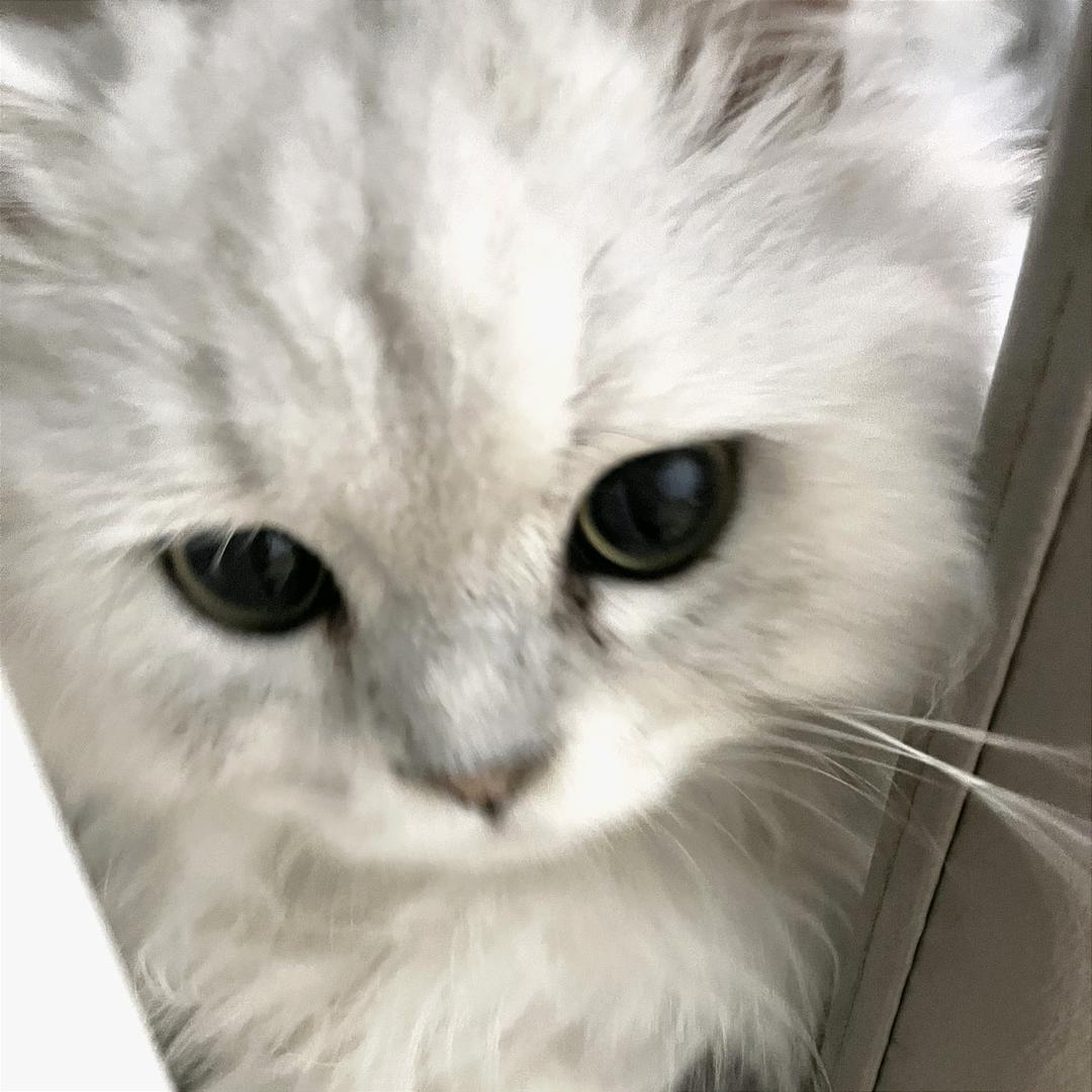 今晚早点睡