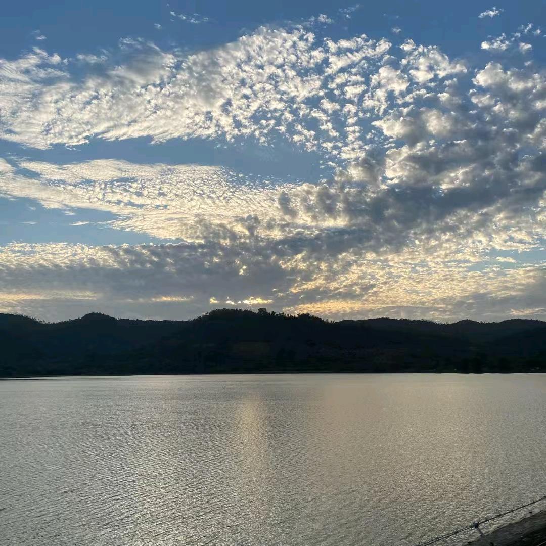 西瓜不懂咖啡的苦