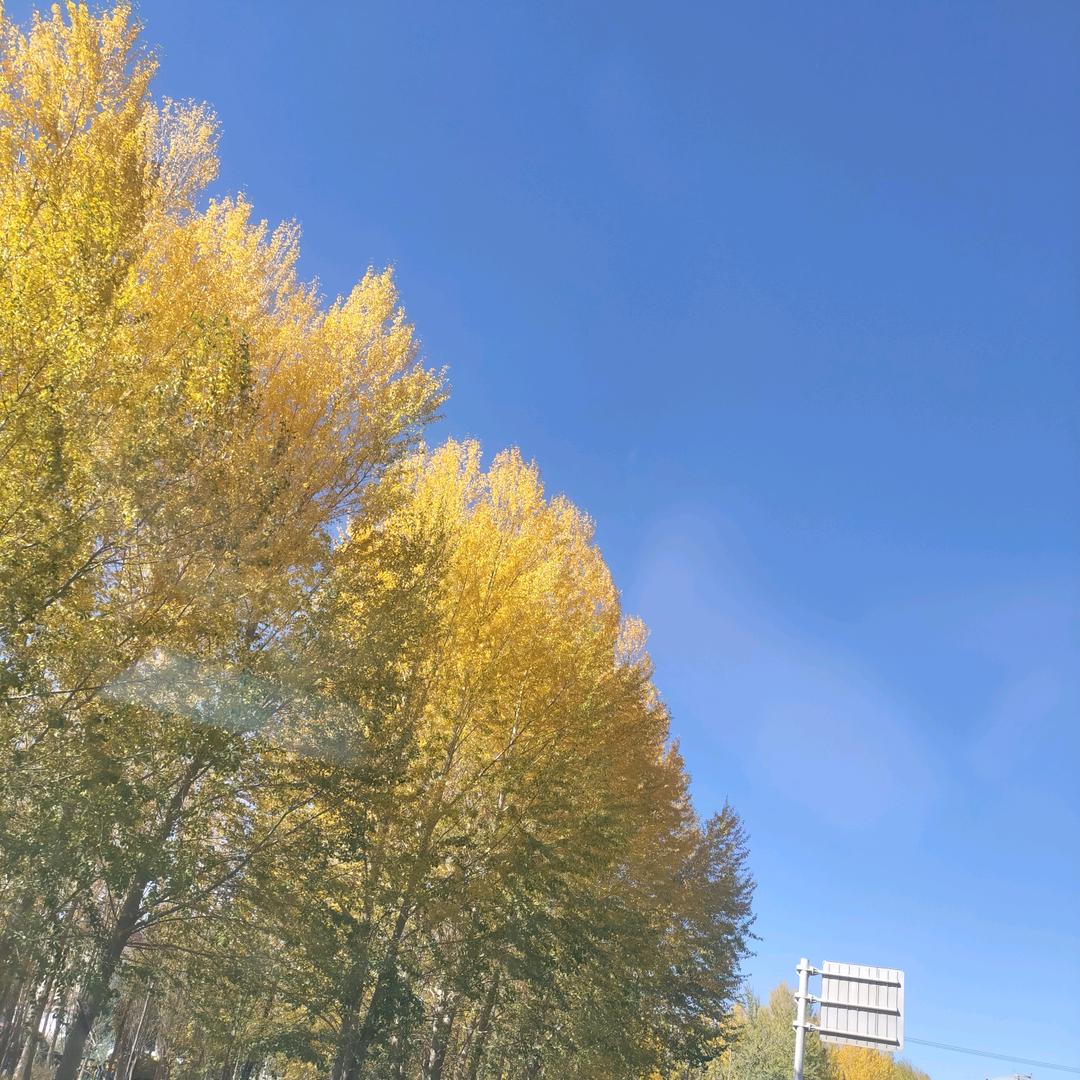 人生没有再少年