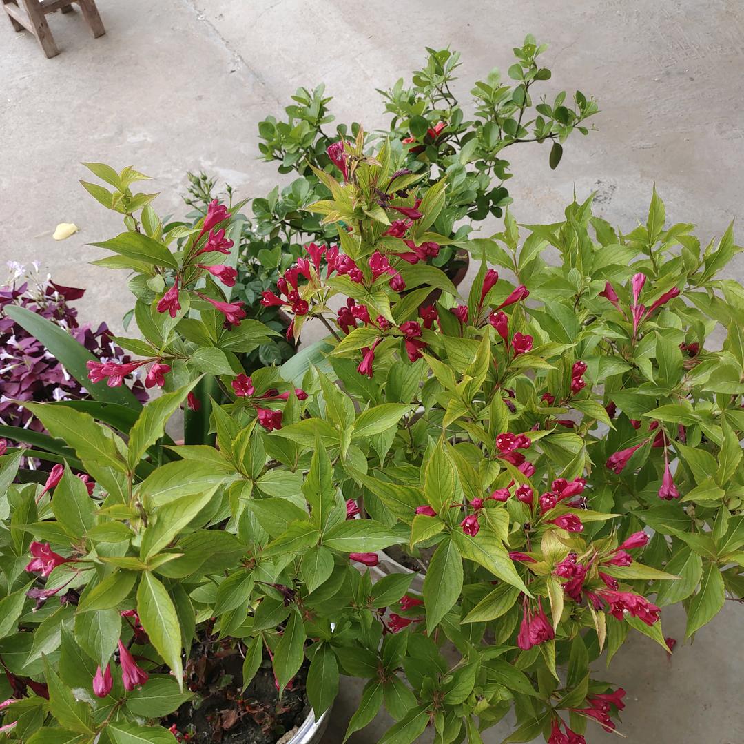 除了坚强，别无选择