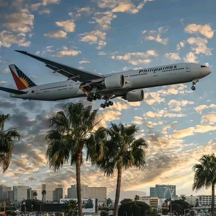 🛫  ୧⍤⃝🌴""