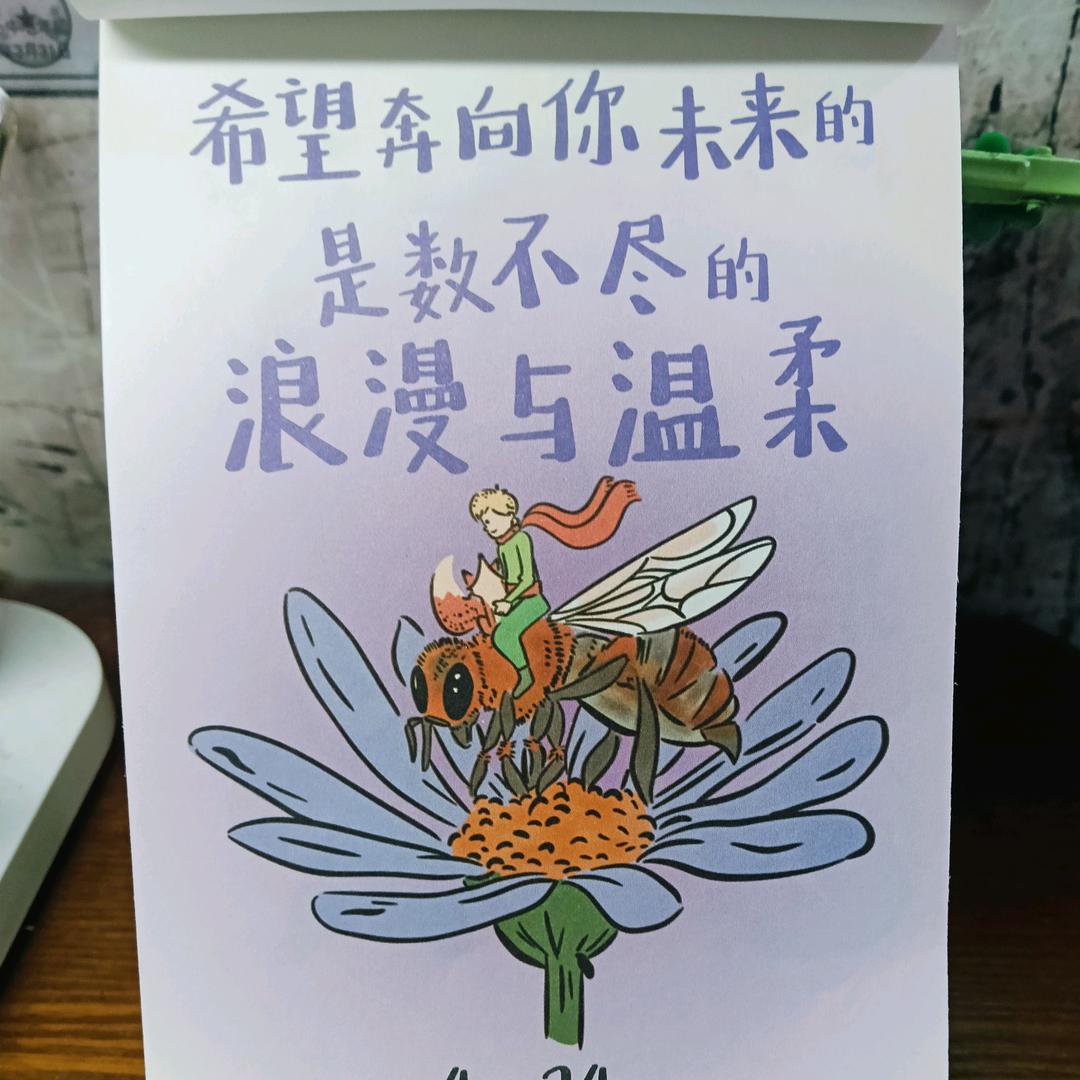 飞恋🧚🏻
