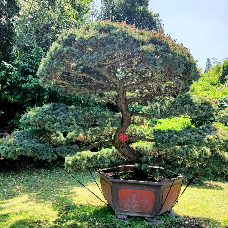 好人好梦