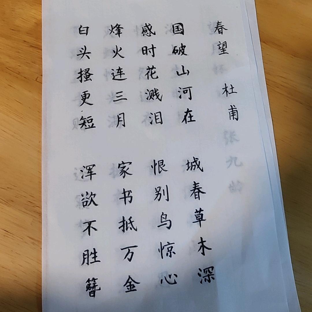 小兔子开开门🐰