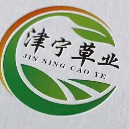史振