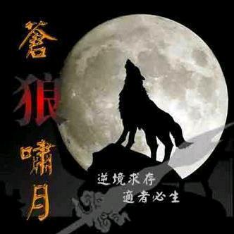 风中找感觉