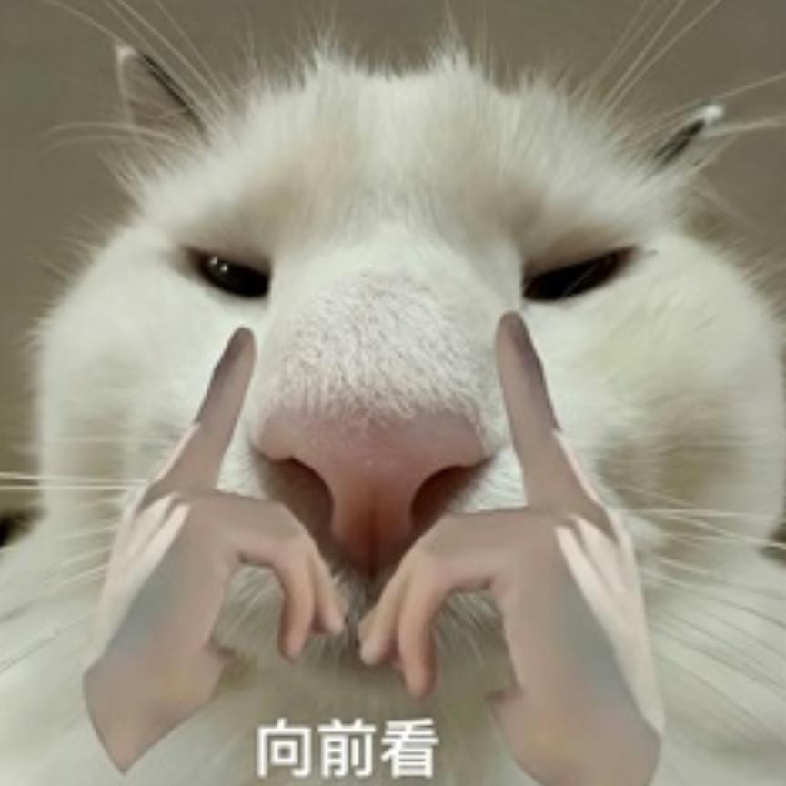 (っ˘зʕ•̫͡•ʔ