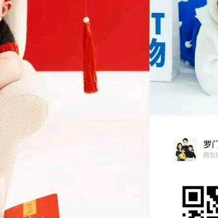 不读书去养猪