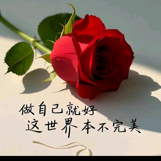 霍州玫瑰