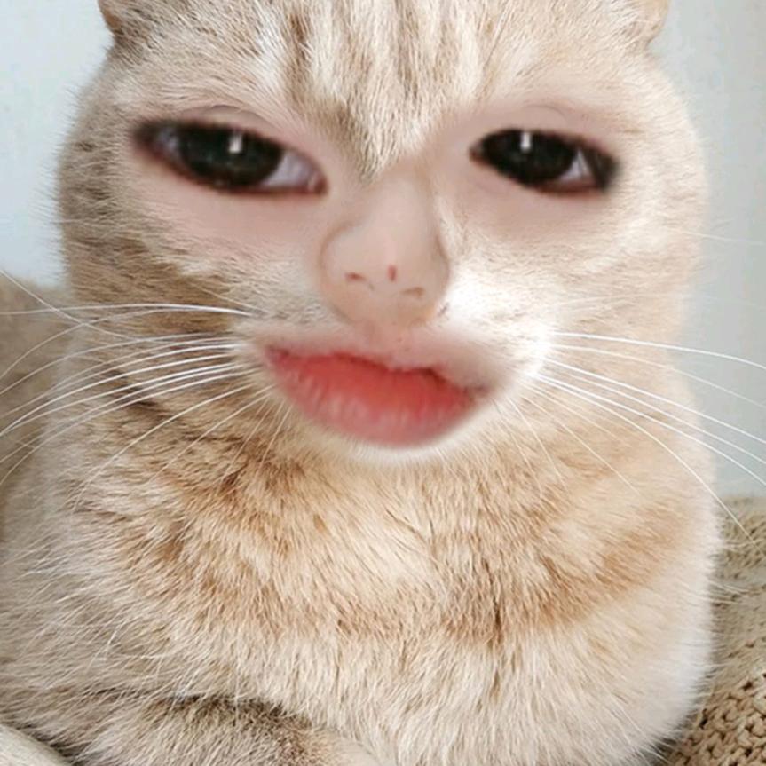 摇钱树