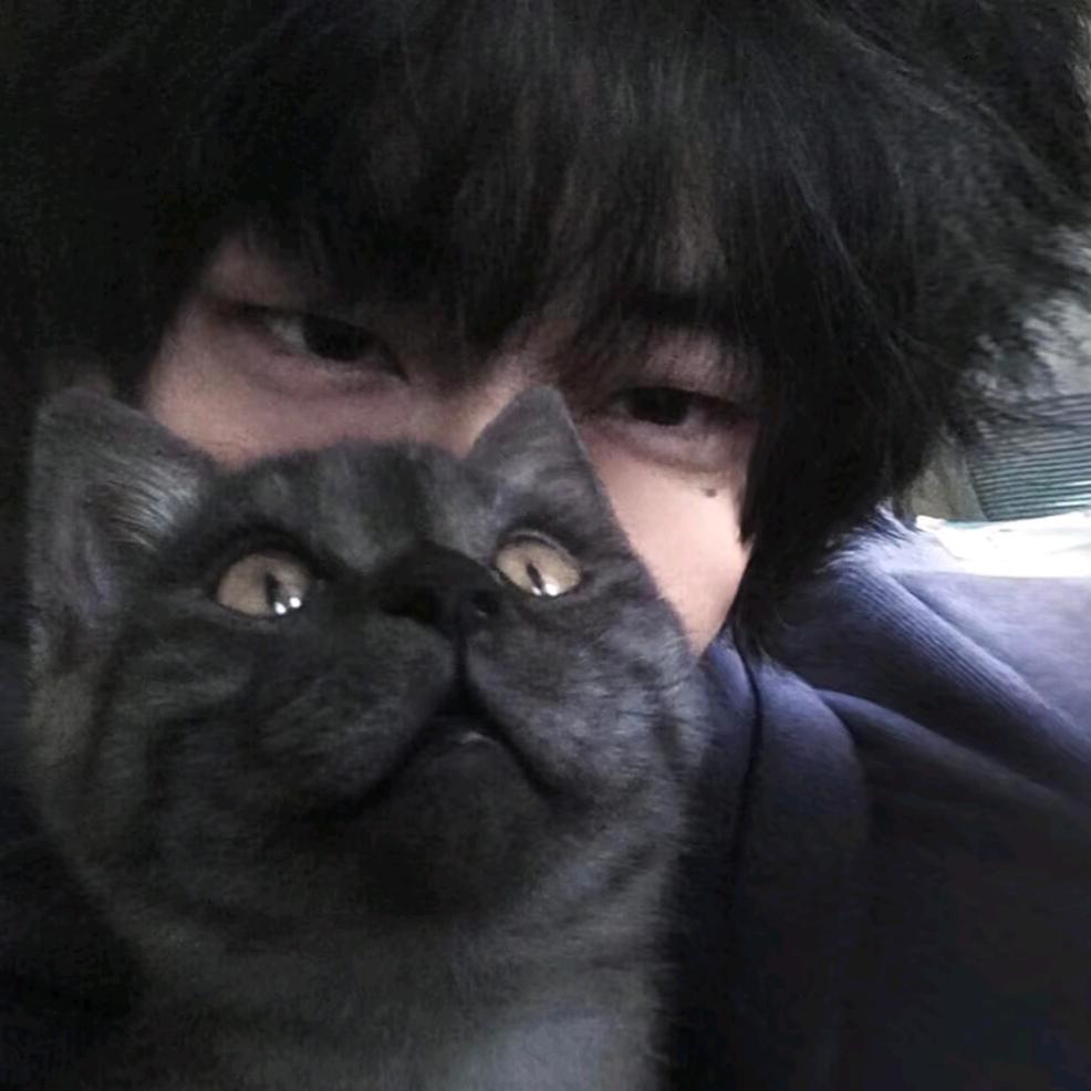 ￣﹁￣