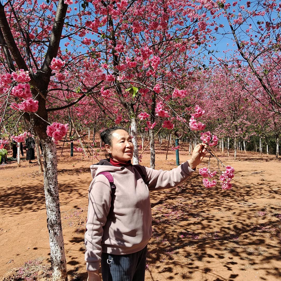 美金 （15：10分开播）