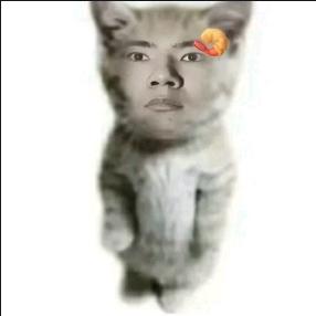 随便吧