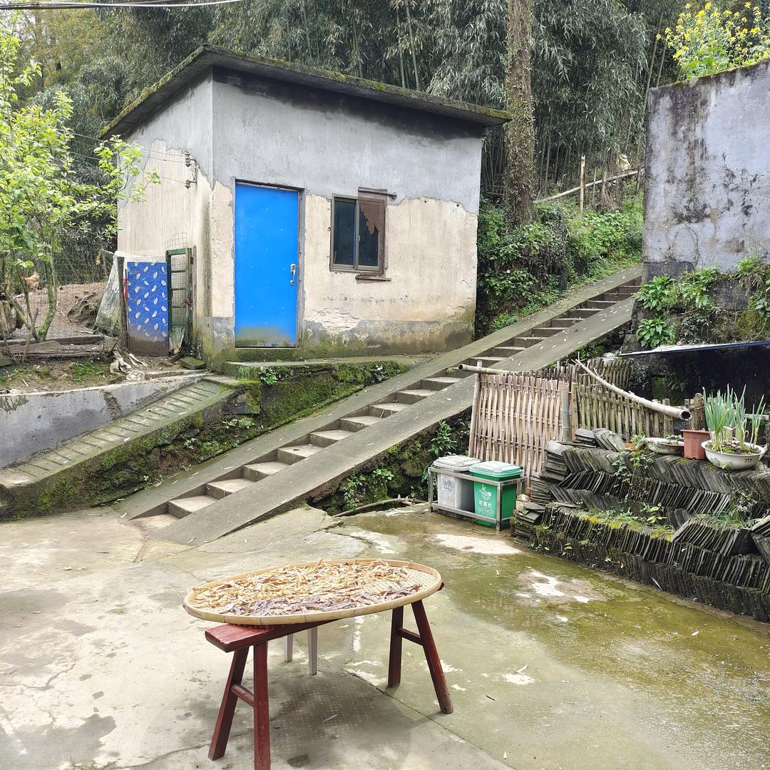 随缘😪（过去的总会过去）