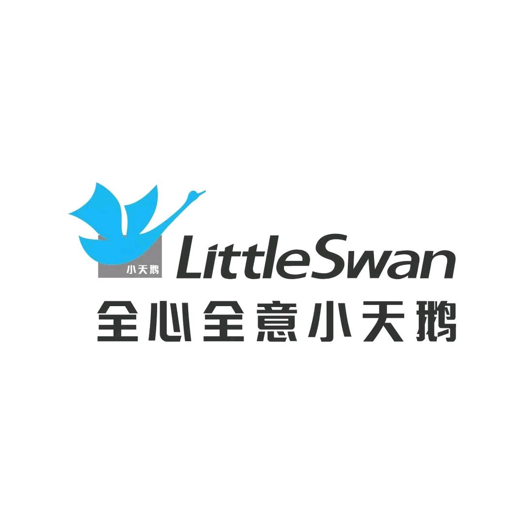全心全意小天鹅在齐鲁