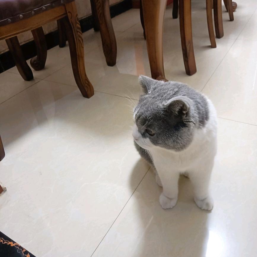 艺彩飞扬