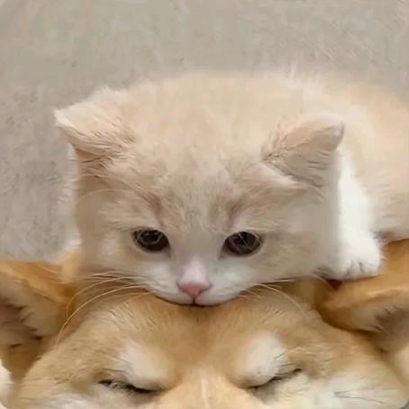 听说名字长的人都很帅