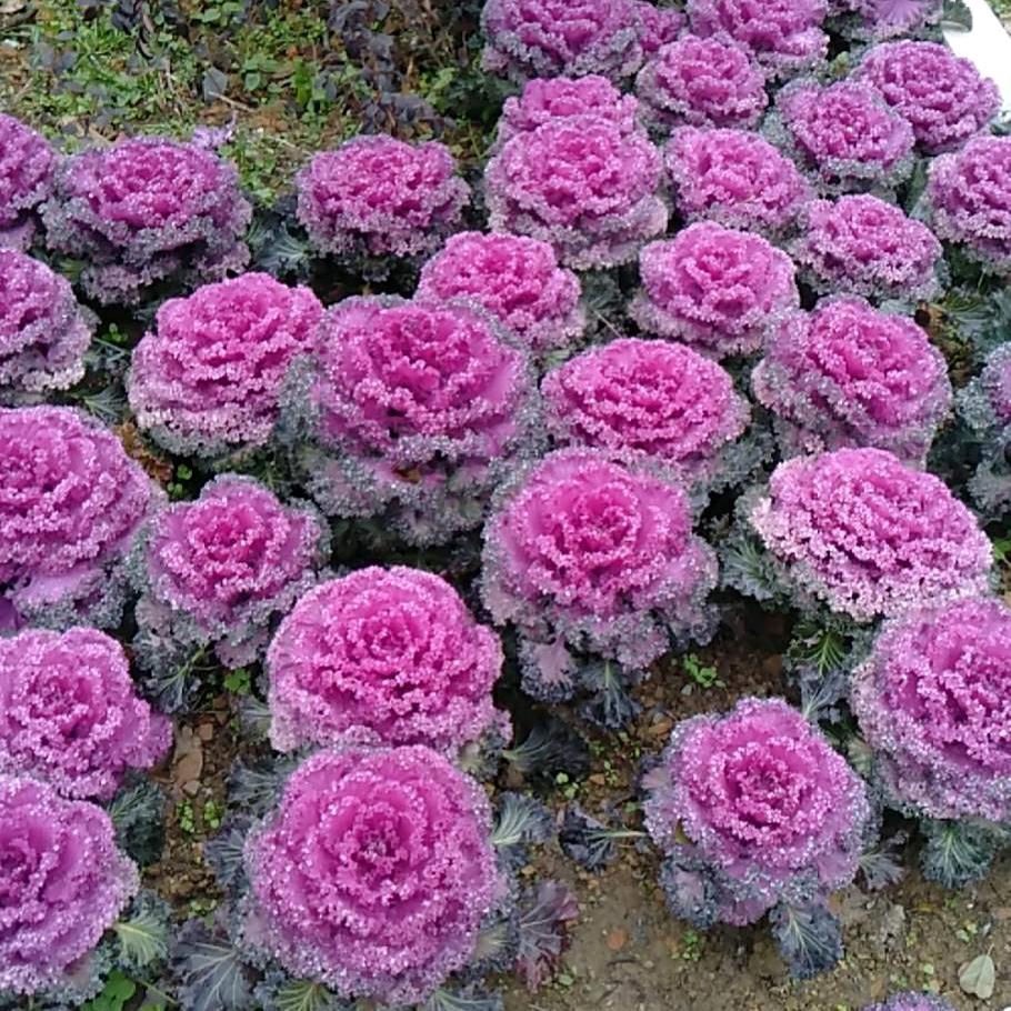 生活太累
