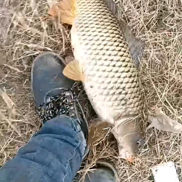 星期天爱钓鱼🎣