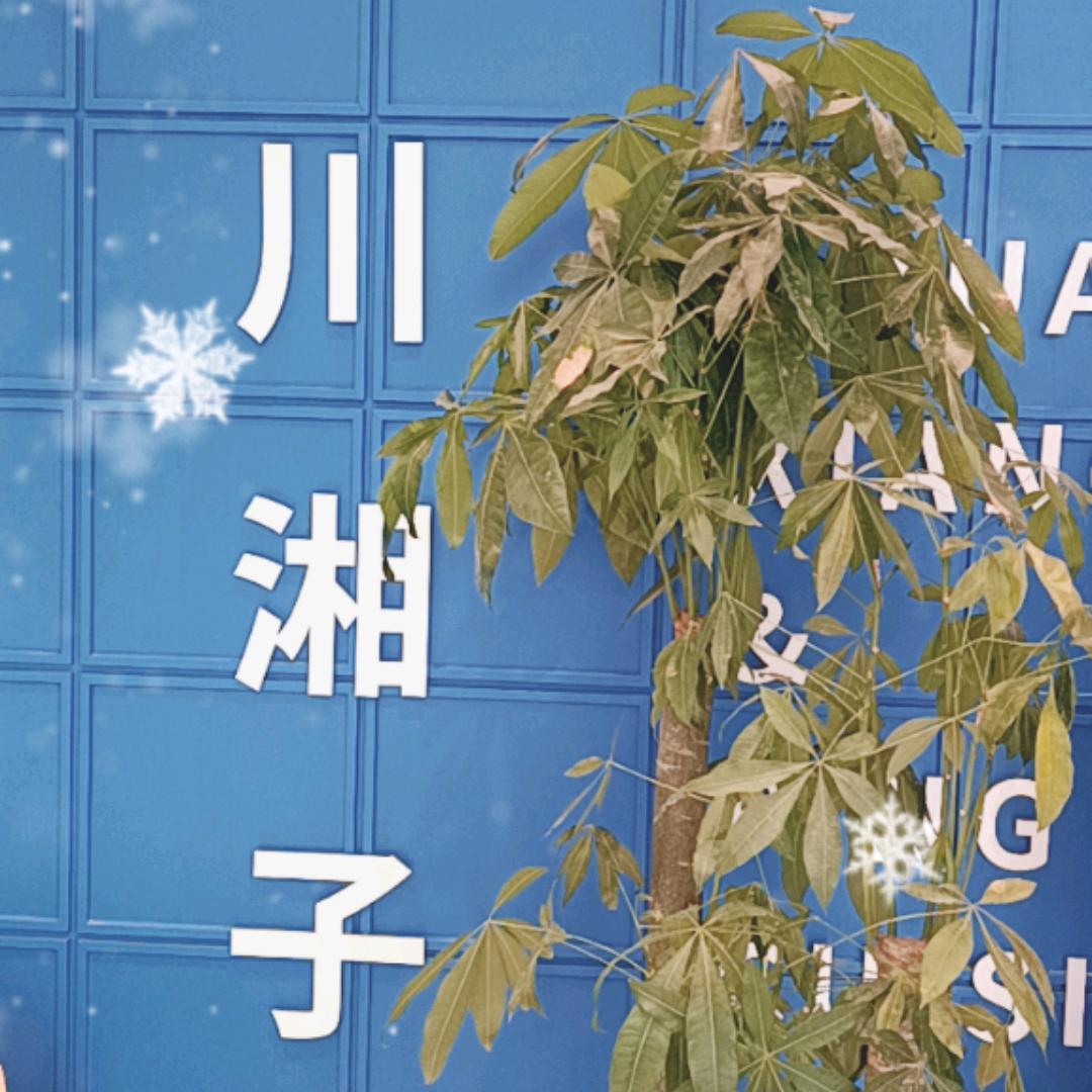 川湘子精品小炒
