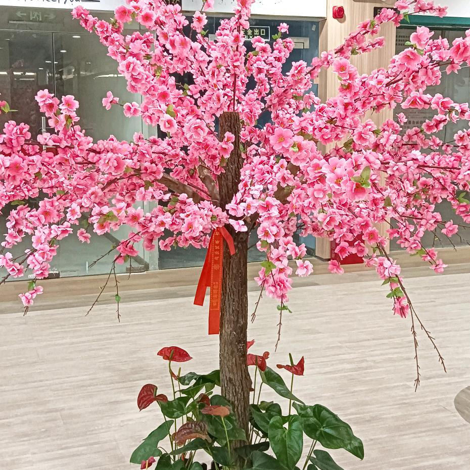 人生苦短几万天