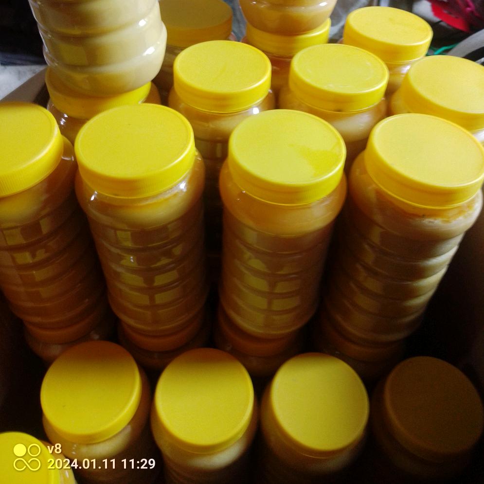 和<')))))><顺（729（晴）