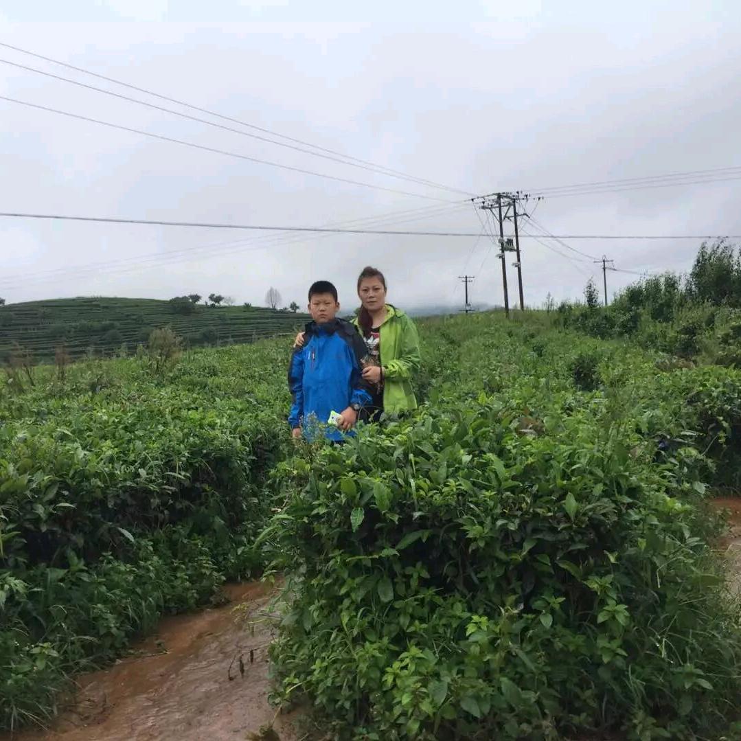 睿豪仔仔
