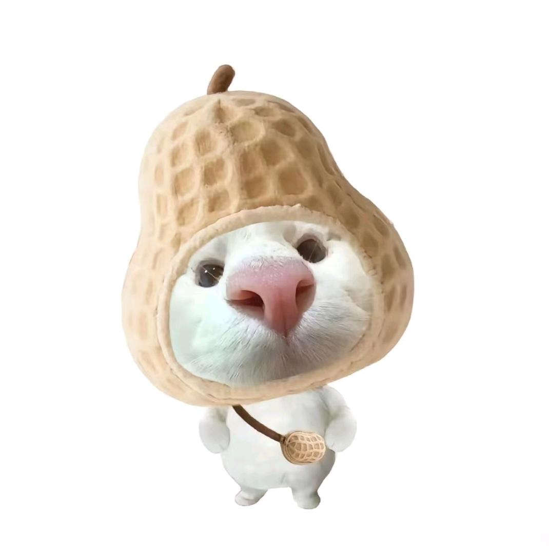 我不叫王多鱼🐟