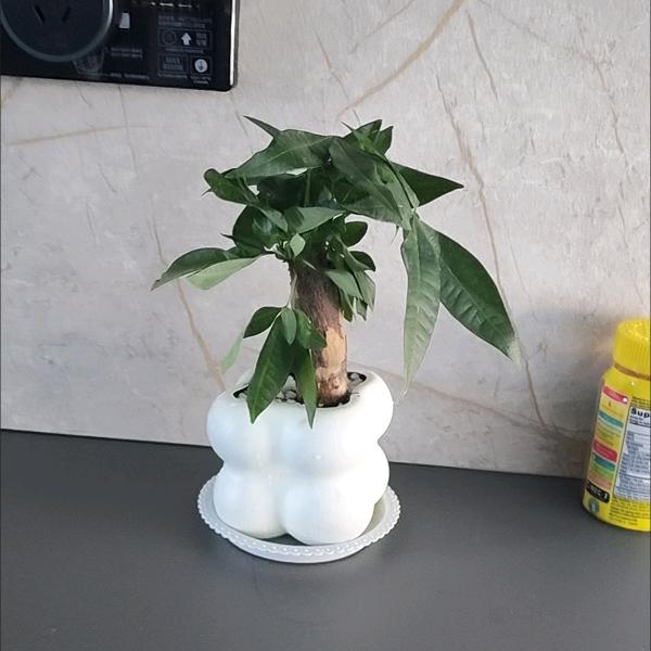 夕于徐