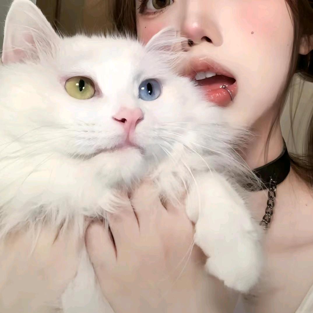 苗苗