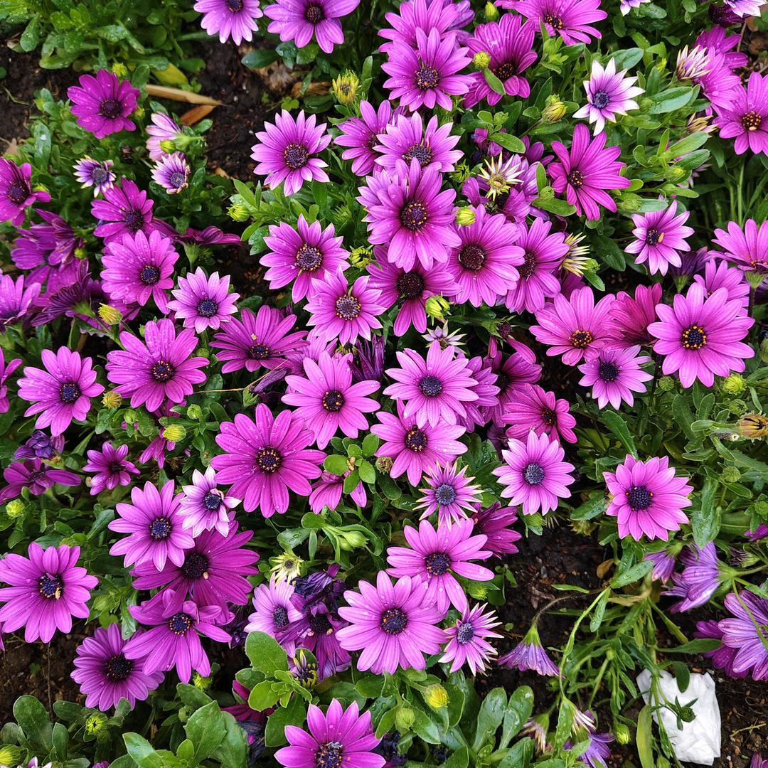 点～点
