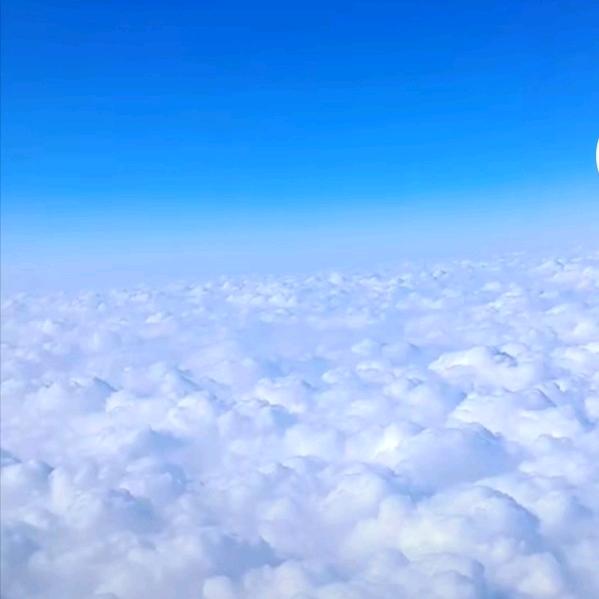 用户522605251