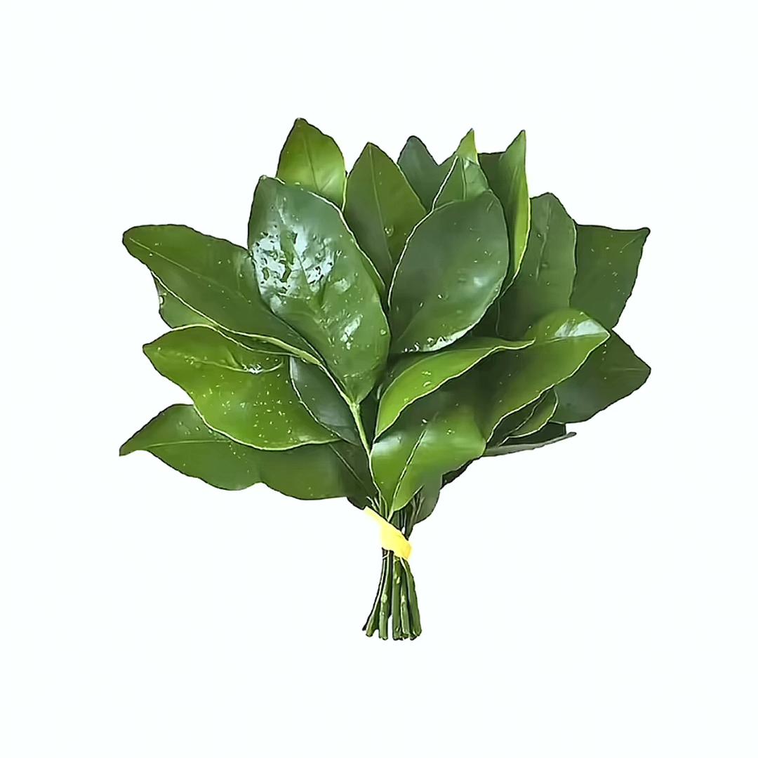 喜欢萌的🍀