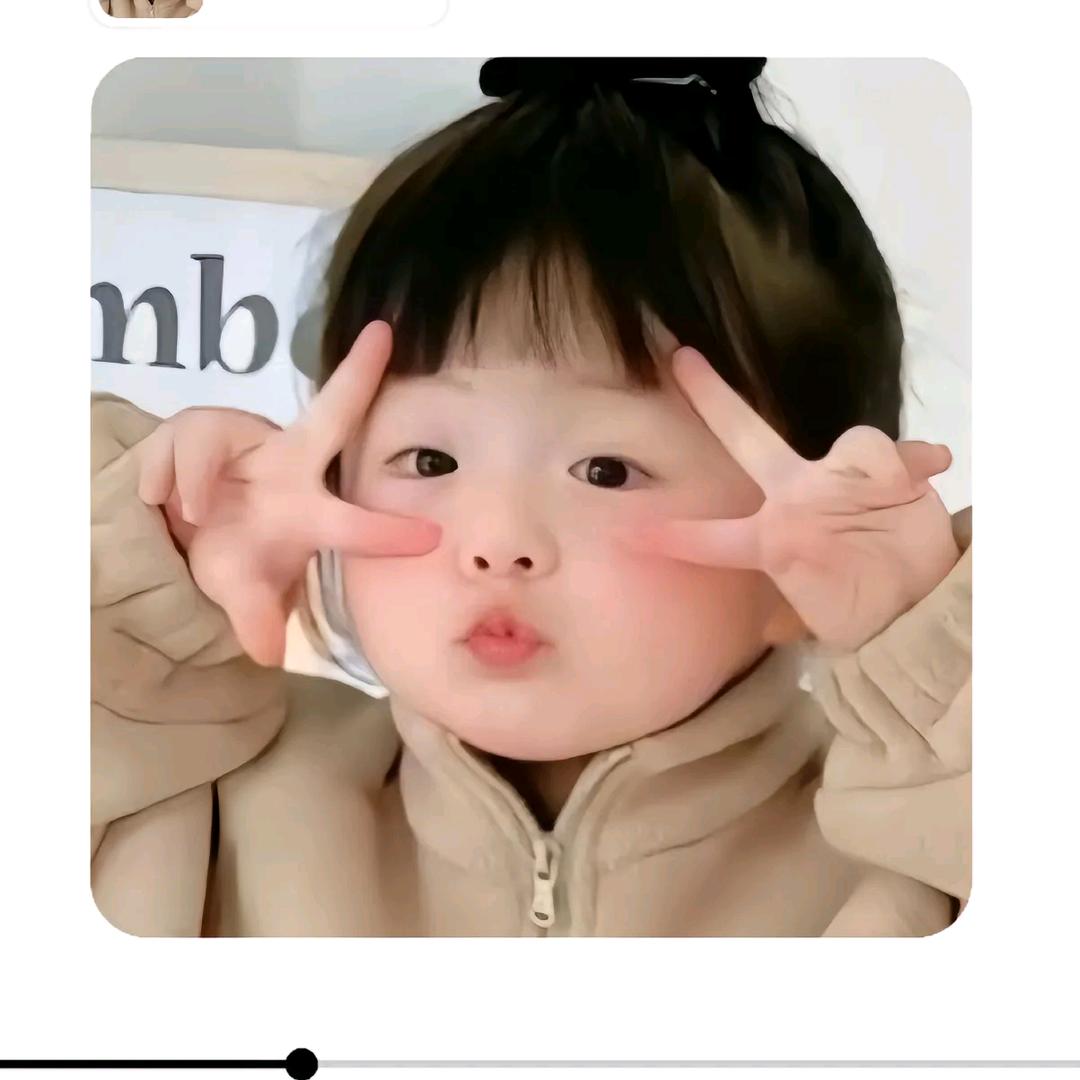 芒果柚