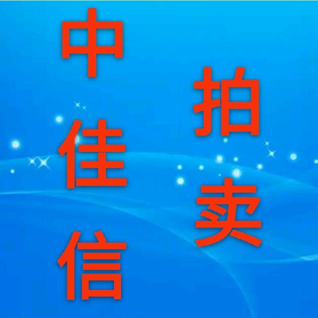 湖南中佳信拍卖有限公司