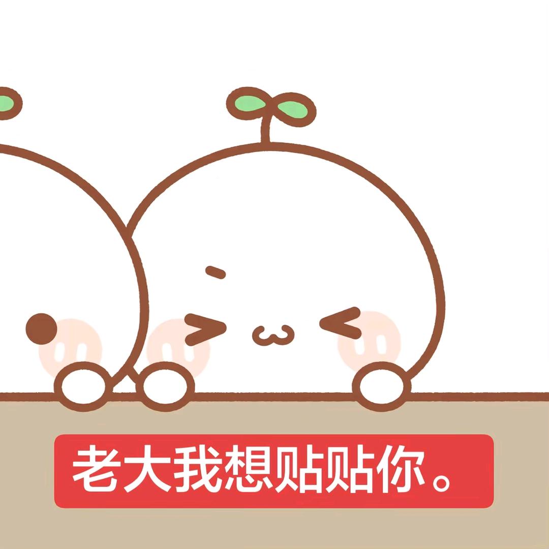 小伊头号粉丝