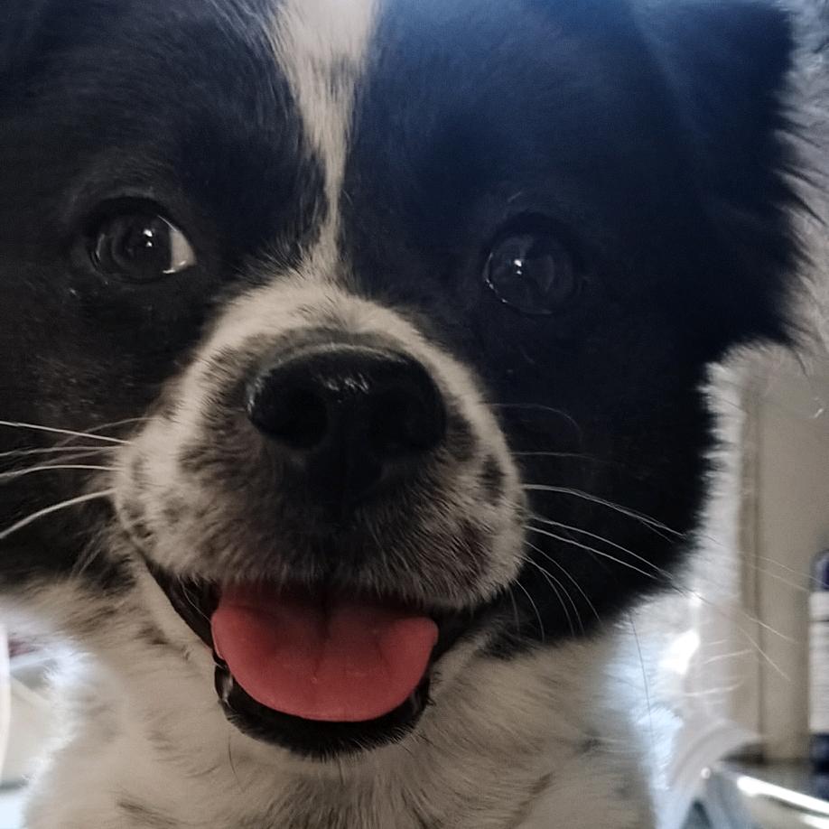 财神爷的心尖儿