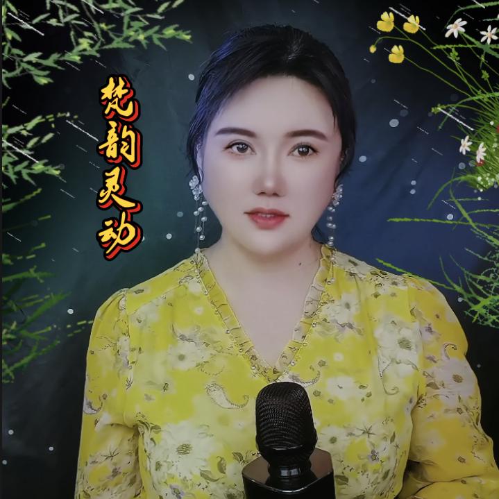 梵韵灵动