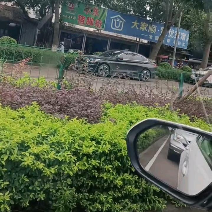 搬纸哥