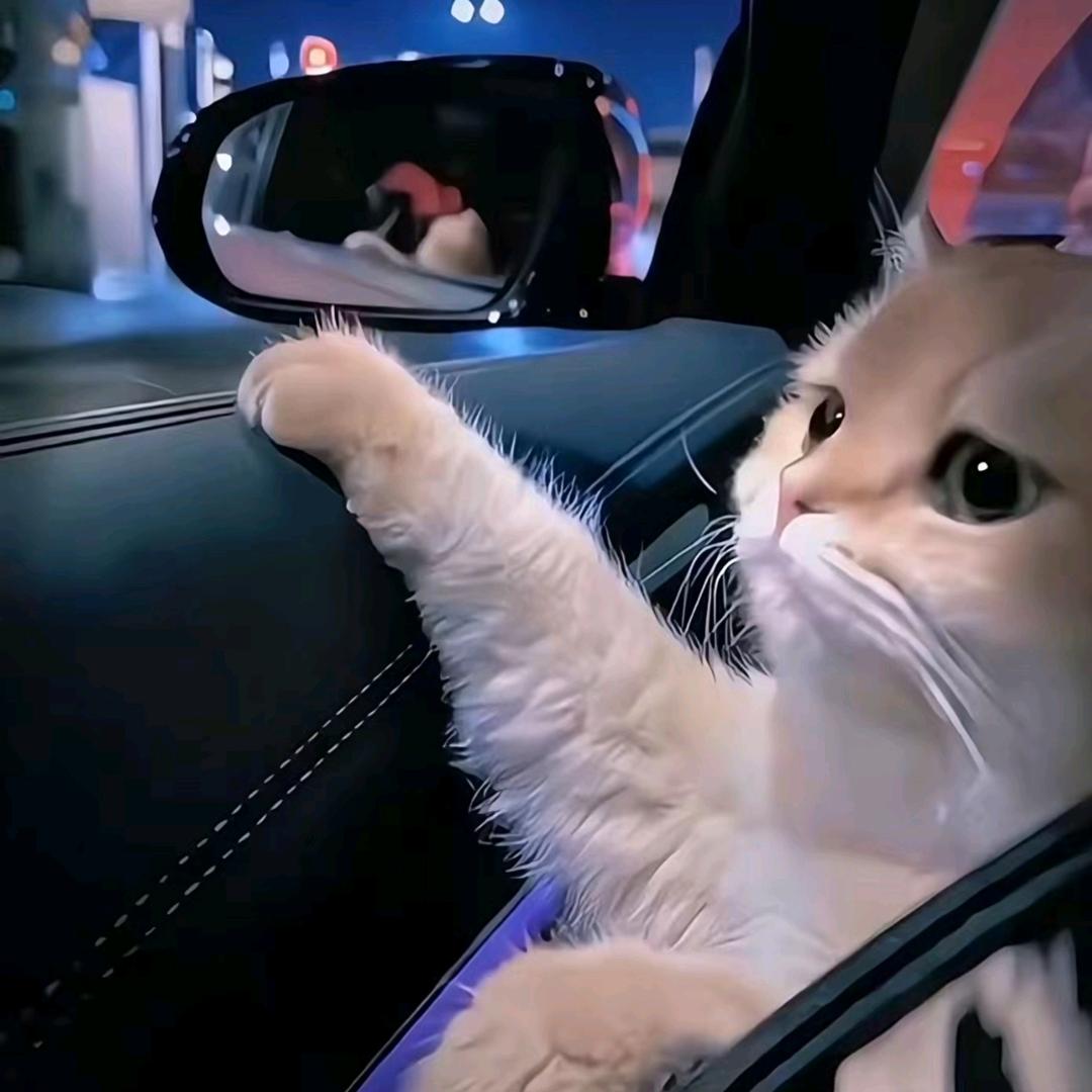 ∗黑鸠KE