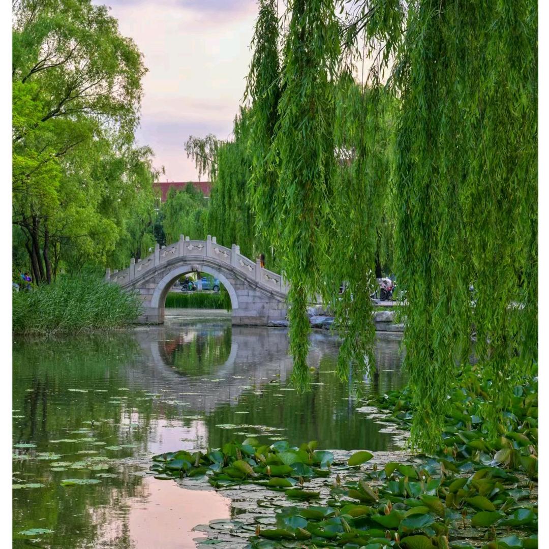 @余生…《拒连赞》