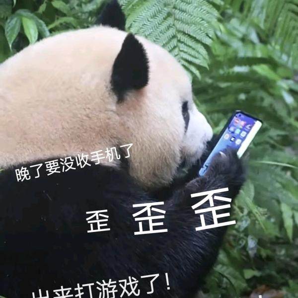 成都第一问候大师