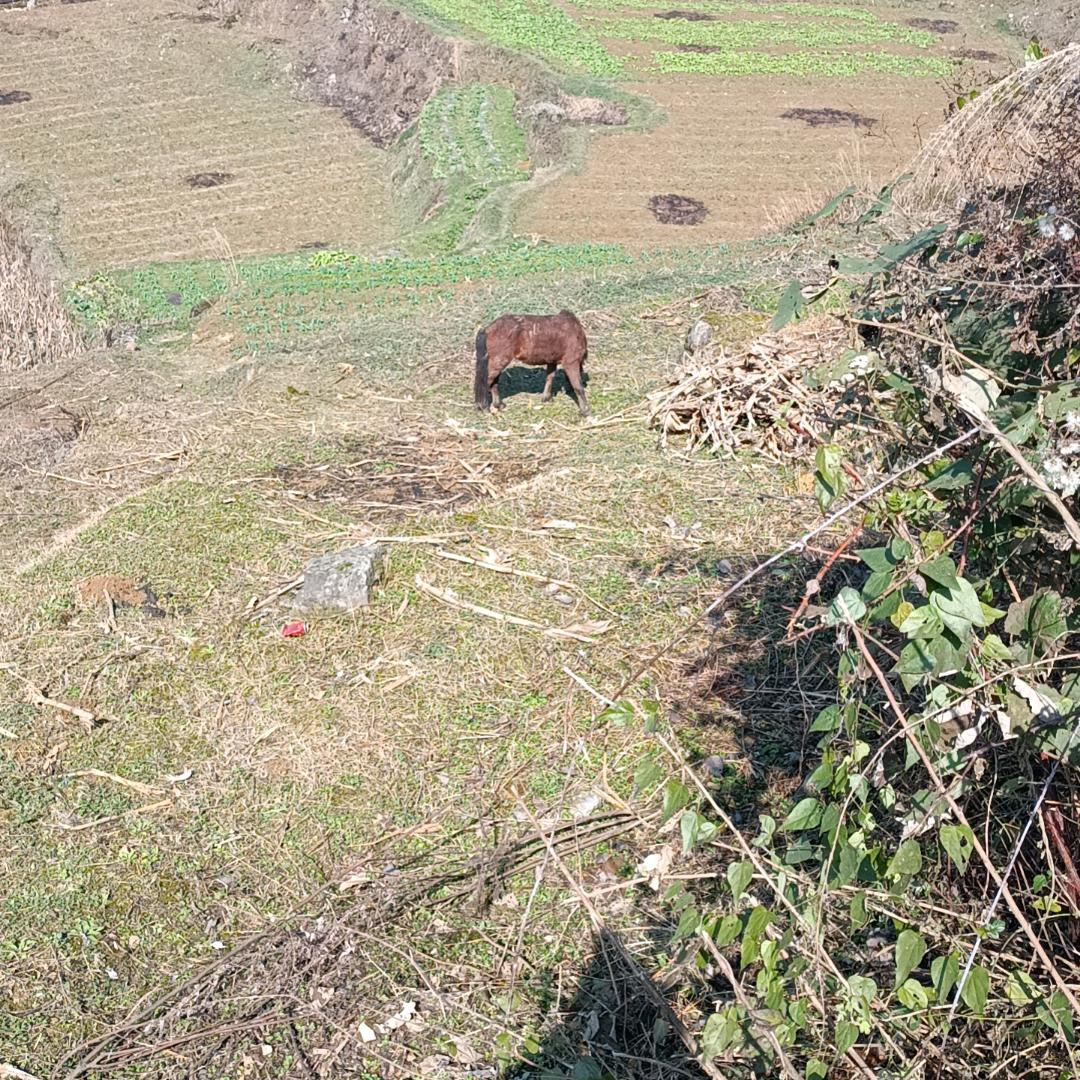 自己的路