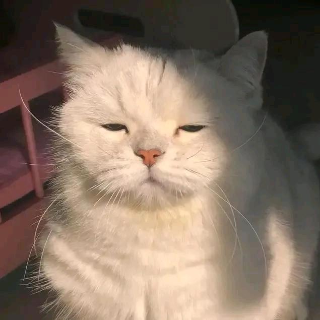sco.