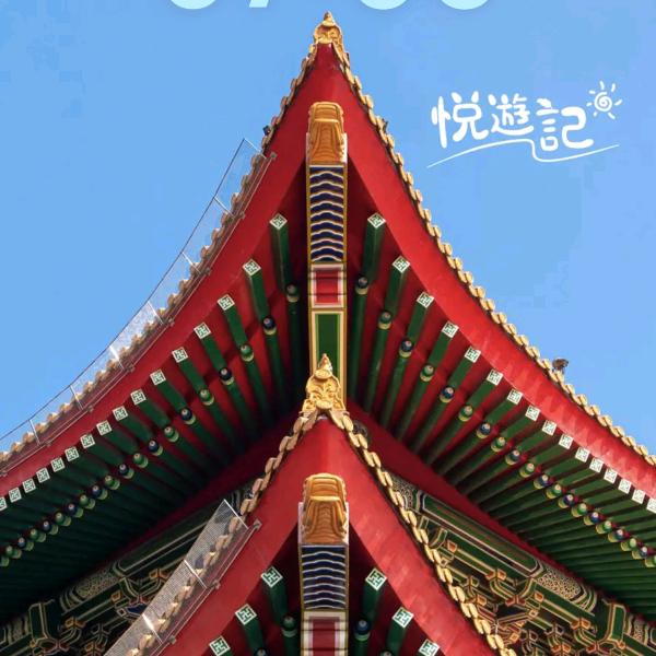 人生短短急个球