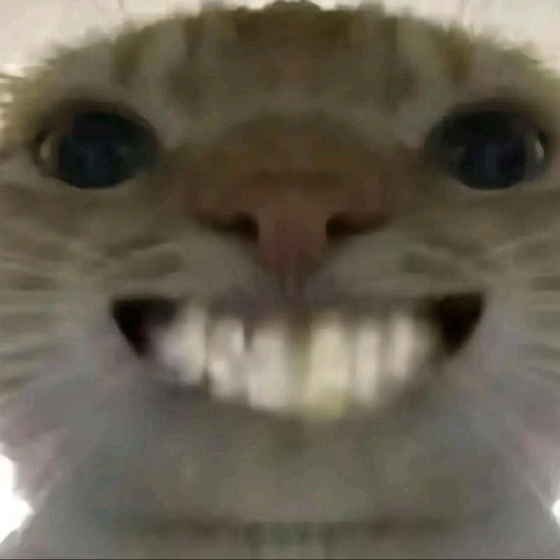 绝地反击鼠队长