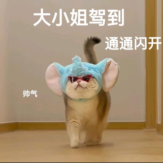梦梦diy手作