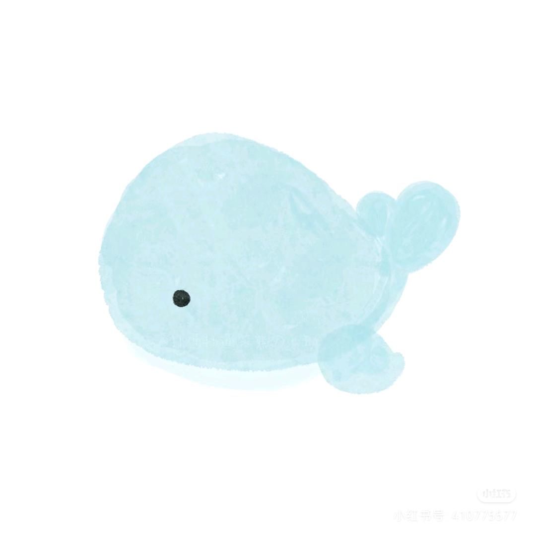 鲸老板
