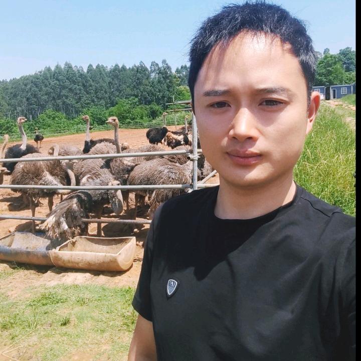 四川聚鸵养殖部CEO_唐兵