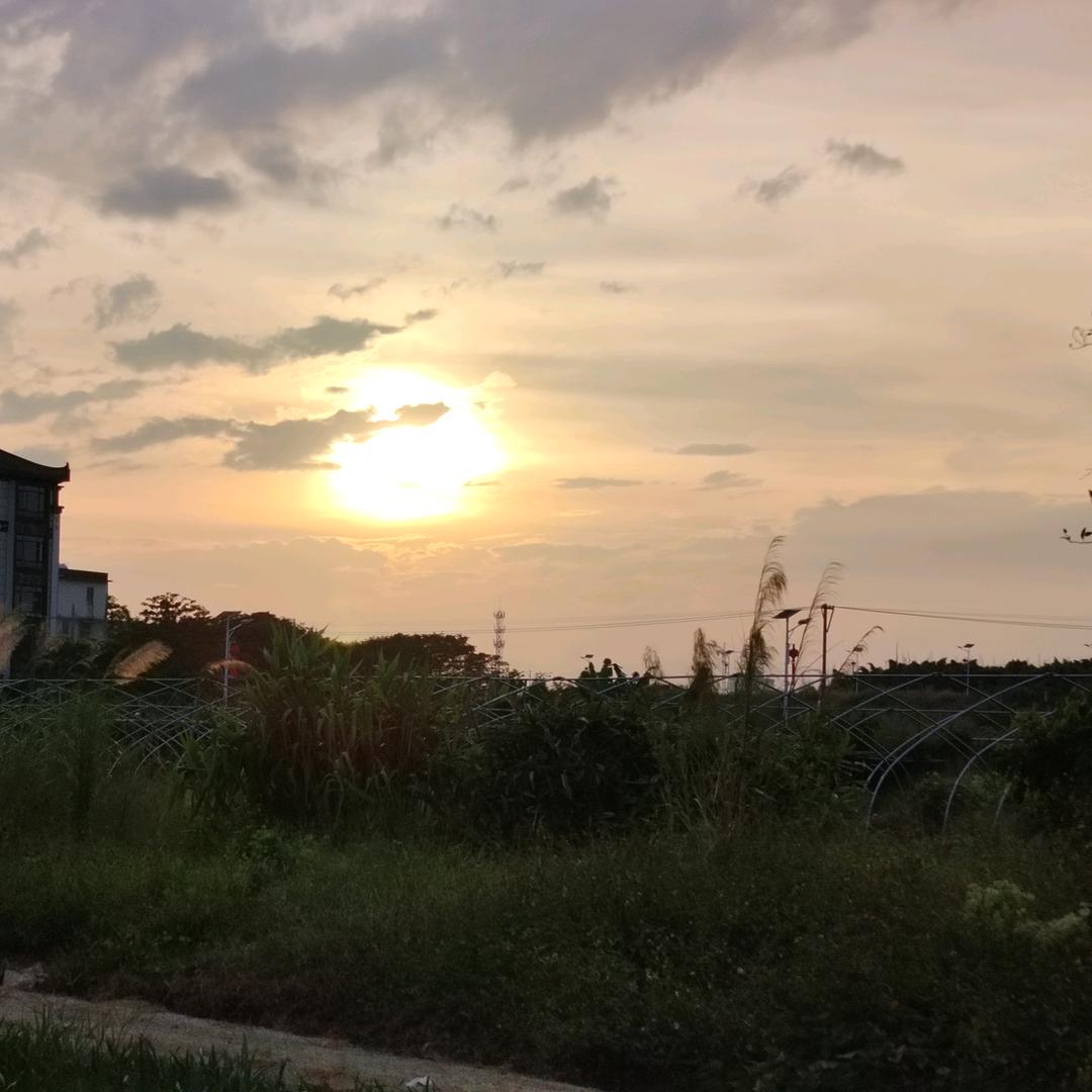 越来越好（周炼）